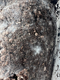 Organic Living Soil (Blend 1)